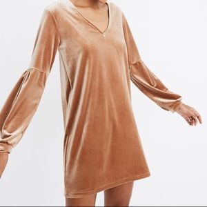 Madewell Balloon Sleeve Velvet Dress